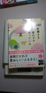 【本】 桜の下で待っている (実業之日本社文庫)　彩瀬 まる