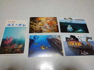 ☆　白浜温泉　海底の神秘　【　絵葉書　4枚セット　】　ケース入り♪　昭和レトロ 絵はがき　写真 ポストカード ※管理番号 e336