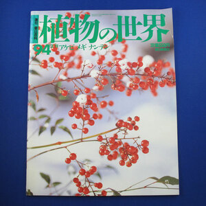 週刊　朝日百科★植物の世界　94★アケビ　メギ　ナンテン★朝日新聞社★中古