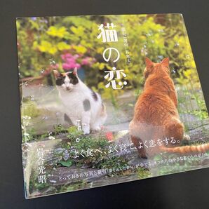 猫の恋+猫句