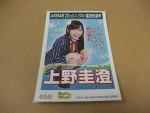 AKB48 生写真 Everyday、カチューシャ 上野圭澄 SKE48 チームE 22thシングル 選抜総選挙 まとめて取引 同梱発送可能