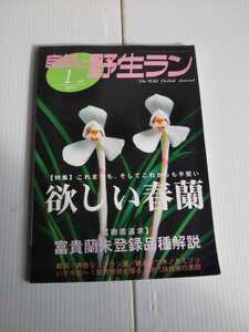 5511 желающий весна орхидея 