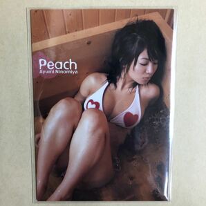 二宮歩美 2005 さくら堂 トレカ アイドル グラビア カード 水着 ビキニ 21 タレント トレーディングカードの画像1
