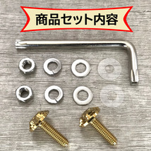 チタン合金製ボルト◆二輪ナンバー専用◆ゴールド色◆SUZUKI/スズキ/GSX1300R/GSR250/GS400/GSX-S1000/GSX400インパルス/ST250_画像3