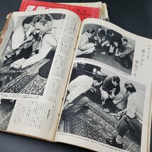 昭和レトロ 本 世界画報など21冊セット 世界画報 科学大観 皇太子殿下御結婚記念 雑誌 昔 古い ビンテージ レトロ 画報【80s1066】_画像6