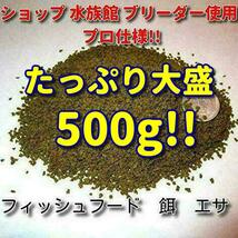 送料込!! たっぷり 500g!! ショップ 水族館 使用 熱帯魚 コリドラス 餌 エサ 飼料 プロ仕様 沈下タイプ 観賞魚 淡水魚 フィッシュフード_画像1