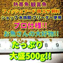 送料込!! たっぷり 500g!! ショップ 水族館 使用 熱帯魚 コリドラス 餌 エサ 飼料 プロ仕様 沈下タイプ 観賞魚 淡水魚 フィッシュフード_画像3