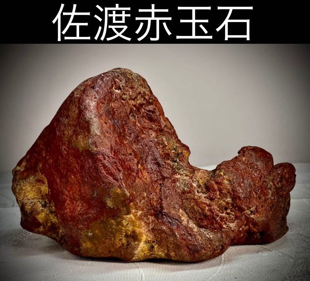 ヤフオク! -「佐渡赤玉石」(花、園芸) の落札相場・落札価格
