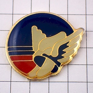  pin badge *go lower z smoke . helmet helmet Celt group * France limitation pin z* rare . Vintage thing pin bachi