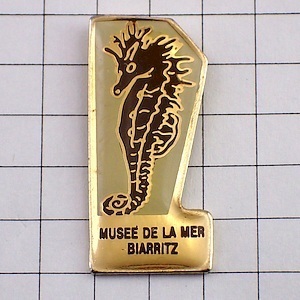  pin badge * seahorse . dragon dragon * France limitation pin z* rare . Vintage thing pin bachi