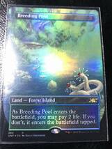 ★新品★マジックザギャザリング★ＭＴＧ★《繁殖池/Breeding Pool》[UNF-BF] 土地R【Foil】ボーダーレス　レアUnfinity②_画像1