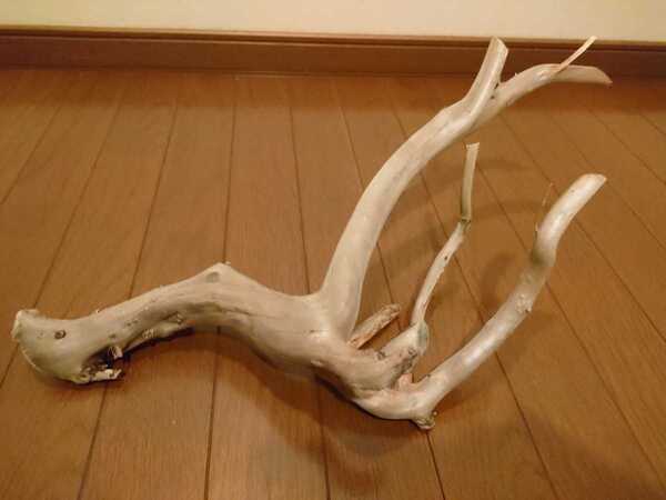 ☆天然流木 水槽 1点物 アクアリウム オブジェ アート 42×12×32cm 大和川 爬虫類 トカゲ ヘビ インテリア 枝 魚 隠れ家
