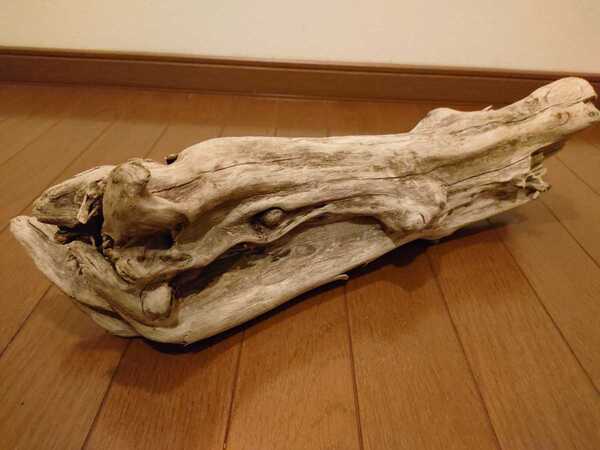 ☆天然流木 水槽 1点物 アクアリウム オブジェ アート 50×14×14.5cm 大和川 爬虫類 トカゲ ヘビ インテリア 魚 めだか 隠れ家 大型