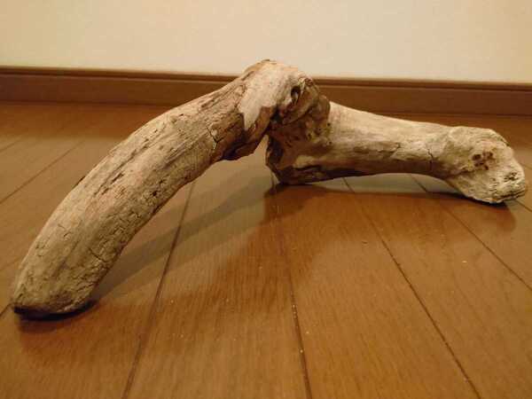 ☆天然流木 水槽 1点物 アクアリウム オブジェ アート 42×15×11cm 大和川 爬虫類 とかげ ヘビ インテリア 魚 めだか 隠れ家