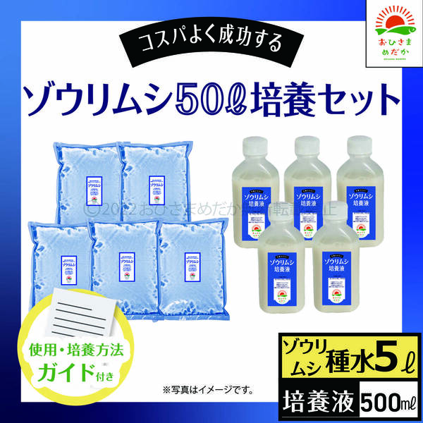 【ゾウリムシ 50L培養セット　送料無料】メダカ めだか 金魚 ミジンコ　らんちゅう　グッピー　ゾウリムシ　クロレラ　 針子　PSB 培養に