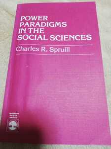 【再値下げ！一点限定早い者勝ち！送料無料】洋書『Power Paradigms in the Social Sciences』