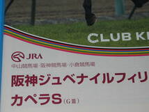 送料無料 懐かしの単勝馬券＋RP ★レーヴディソール 現地的中ほか5頭 阪神 2010.12.12 阪神競馬場 即決！競馬 ウマ娘 ホエールキャプチャ_画像8