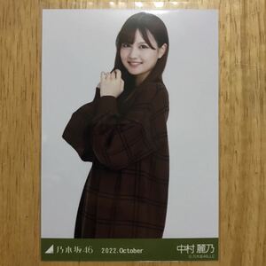 乃木坂46 中村麗乃 ウィンドウペンチェック 生写真 チュウ 1枚 検) web 限定 月別 2022.October