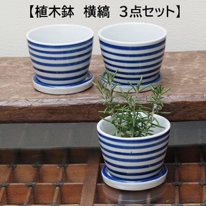 そば猪口型植木鉢　横縞　シマシマ　ボーダー　3個　多肉植物　和モダン　苔　サボテン　ミニ盆栽　植木鉢　陶器　和風