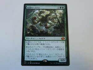 MTG 美品 【始源のハイドラ】 （神話レア） ジャンプスタート2022 J22 日 2枚迄