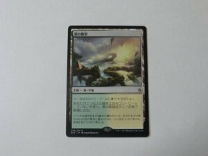 MTG 美品 【梢の眺望】 （レア） BFZ 日 9枚迄