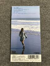 酒井美紀 /蒼い視線 /せつない気持ちを愛と■8cmシングルCD■型番:VIDL-10471■管理番号:AZ-0316_画像2