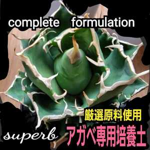 アガベ　専用培養土　プロショップが原料にこだわり抜群の配合で完成させた特選品　これ1つあればバッチリ育成OKです　多肉植物全般に