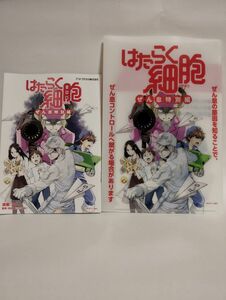 非売品 コミック はたらく細胞 ぜん息 特別編 漫画 マンガ ファイル 清水茜 クリアファイル