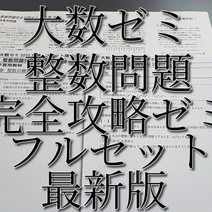 大数ゼミ 20年度 整数問題完全攻略ゼミ フルセット 河合塾 駿台 鉄緑会 東進  SEG Z会の画像1