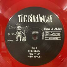 U73■【GER盤/10EP】The Birdhouse / Raw & Alive ! ● Glitterhouse Records / GR 0036 / パンク / ガレージロック / 赤盤 221213_画像6