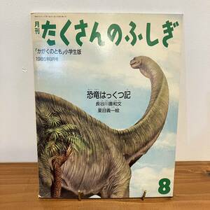 221201 月刊たくさんのふしぎ 1985年8月号「恐竜はっくつ記」長谷川善和 文 夏目義一 絵★かがくのとも当時物絵本美品