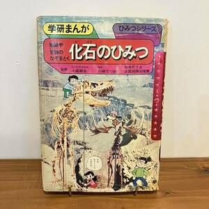 221209絶版児童書★学研まんがひみつシリーズ「化石のひみつ」旧版★川崎てつお漫画 小畠郁生監修 昭和58年第31刷★昭和レトロ当時物