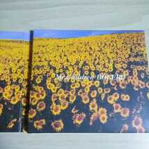 KW013　CD　MR.CHILDREN　１．Prologue　２．Everything(It's you)_画像4