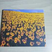 KW013　CD　MR.CHILDREN　１．Prologue　２．Everything(It's you)_画像3