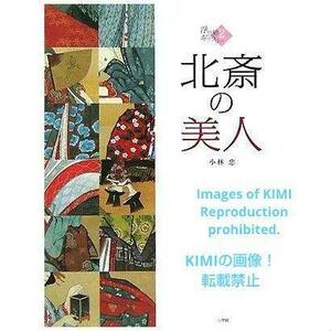 北斎の美人　浮世絵ギャラリー 2　大型本　小林 忠(著)　 小学館　浮世絵の世界　視覚の魔術師北斎