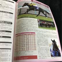 ［JRAレーシングプログラム］2017阪神ジュベナイルフィリーズ／表紙ソウルスターリング／阪神競馬場／勝馬ラッキーライラック／川栄李奈_画像5