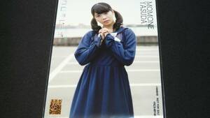 NMB48 17th シングル ワロタピーポー 　初回盤　封入　特典　生写真(Type-B)安田桃寧