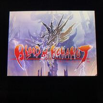 ◆即決◆ DSブラッド オブ バハムートBLOOD of BAHAMUT RPG DS スクウェア エニックス ニンテンドーDS ソフトのみ◆初期動作確認済◆_画像2