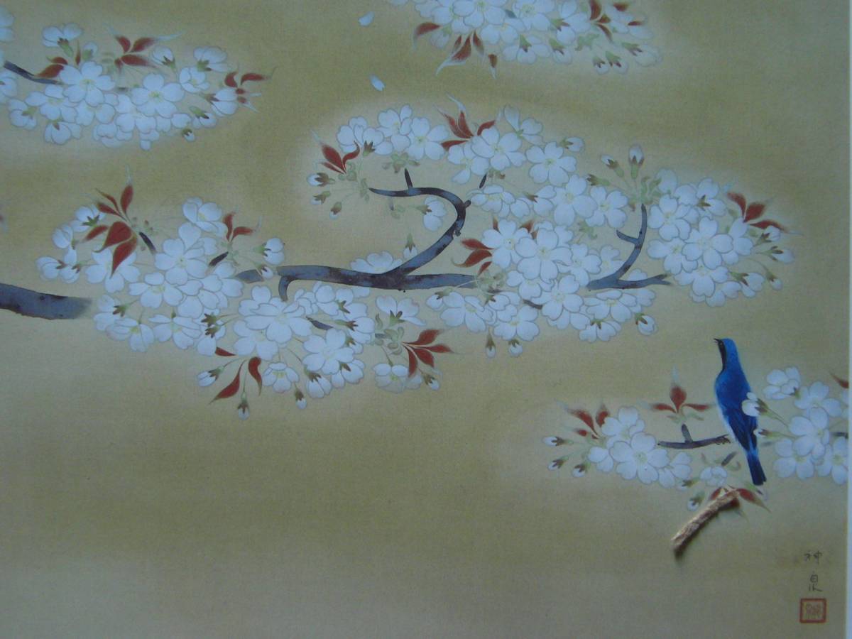 徳岡神泉, 【桜】, 希少画集画より, 状態良好, 新品高級額装付, 送料無料, 日本画 日本画 鳥, 絵画, 日本画, 花鳥, 鳥獣