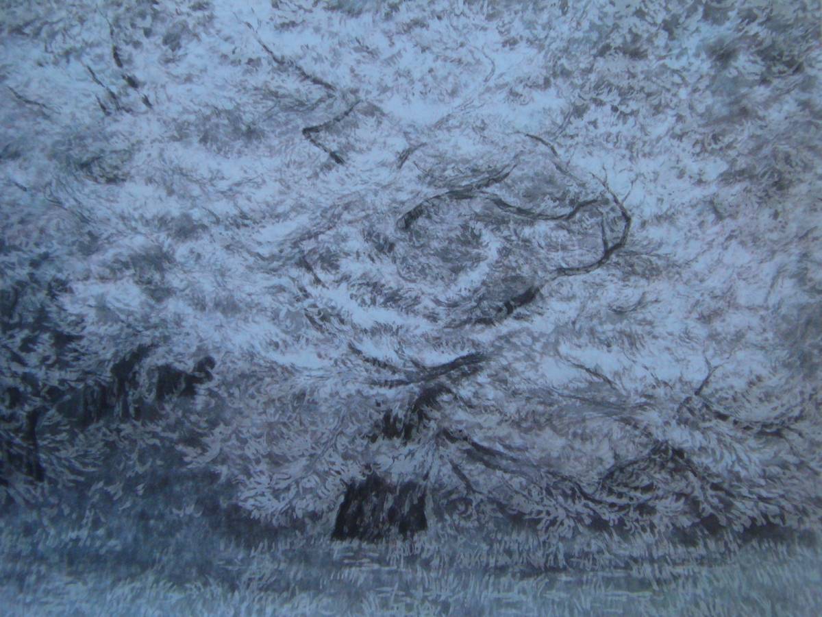 Suzuki Kawasaki, 【flor】, De un libro de arte raro, Buen estado, Nuevo enmarcado de alta calidad., envío gratis, pintura japonesa pintura japonesa flores de cerezo, cuadro, pintura japonesa, flores y pájaros, pájaros y bestias