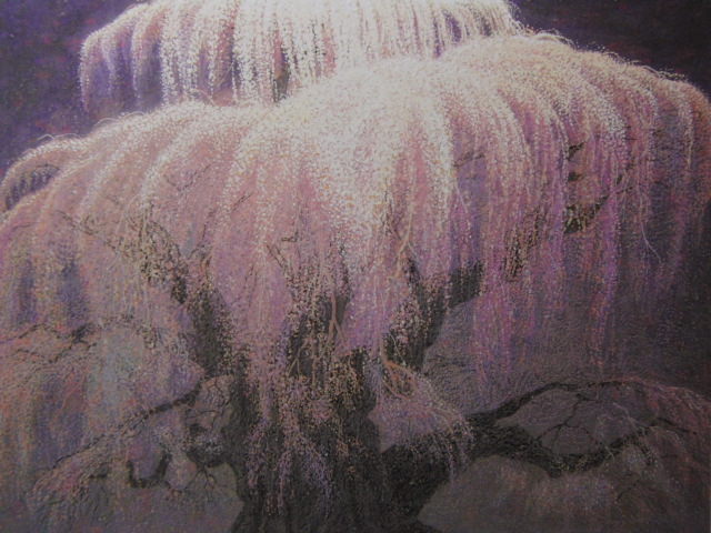 Hideki-hara, [Takizakura], De un libro de arte raro, Buen estado, Nuevo enmarcado de alta calidad., envío gratis, Pintor japonés pintura de paisaje flor de cerezo, cuadro, pintura al óleo, Naturaleza, Pintura de paisaje