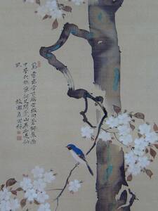 酒井抱一、【桜に小禽図】、希少画集画より、状態良好、新品高級額装付、送料無料、日本画 日本画家