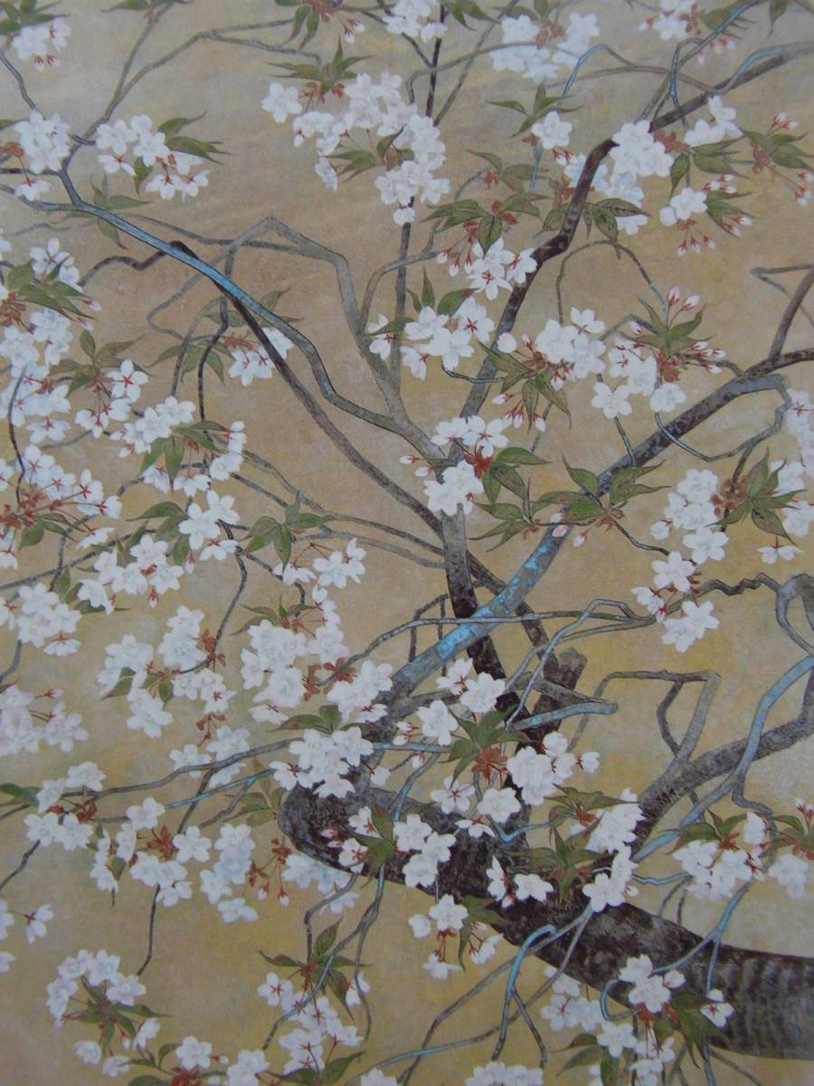 Junichi Hayashi, [Fleurs de cerisiers sauvages], Extrait d'un livre d'art rare, Bonne condition, Tout neuf, encadré de haute qualité, livraison gratuite, Peintre japonais Peinture japonaise, peinture, Peinture japonaise, fleurs et oiseaux, oiseaux et bêtes