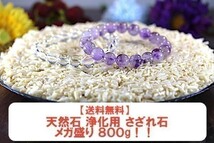 【送料無料】たっぷり 500g さざれ 小サイズ 白珊瑚 サンゴ コーラル パワーストーン 天然石 ブレスレット 浄化用 さざれ石 チップ ※2_画像8