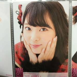 NMB48 2017-November 生写真 山田寿々 A