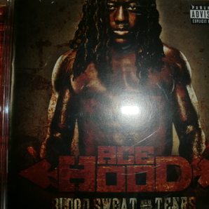 美品 Ace Hood [Blood Sweat Tears][South] DJ Khaled T-Pain Yo Gotti Chris Brown Rick Ross Lil Wayne akon nicki minaj baby nelly 