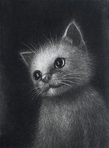 . north . Kazuko [....] copperplate engraving mezzo chin to frame cat 