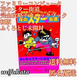 花のスター街道 完全攻略テクニックブック 初版 ふくろとじ未開封 送料無料 匿名配送 攻略本 ファミリーコンピュータ ファミコン 袋とじ