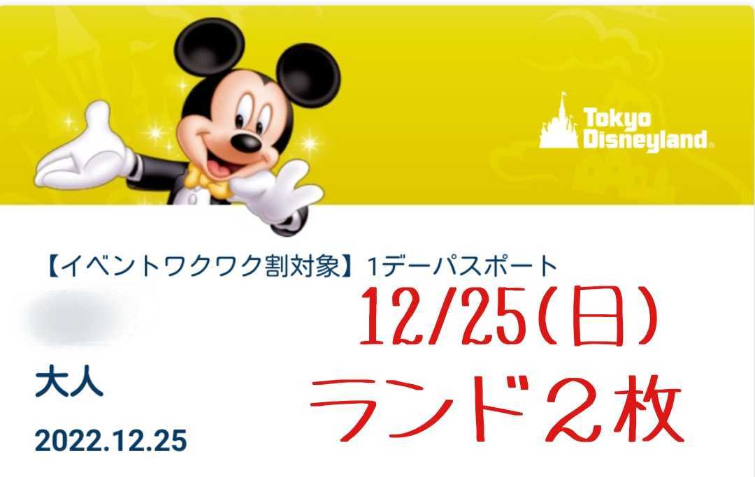 12月25日 土 10 30 ディズニーランド Eチケット 1dayパスポート 大人2枚 送料無料 未使用 Www Clikmenu Com