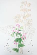 近代芸術　アート＊BOTANICAL ボタニカルアート　植物画　 真作保証 ＊作品名 　ゴウダソウ　合田草＊作者　船迫吉江　Funaseko Yoshie　_画像1